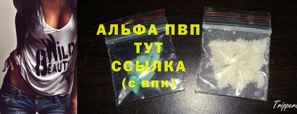 крисы Алзамай