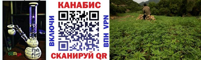 Конопля конопля Алатырь